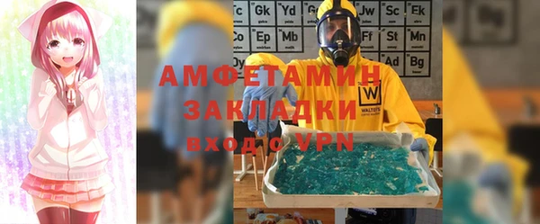 молекула духа Козельск