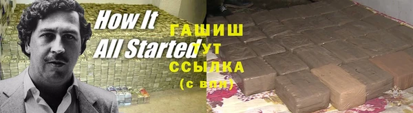 молекула духа Козельск