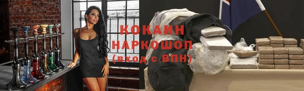 молекула духа Козельск
