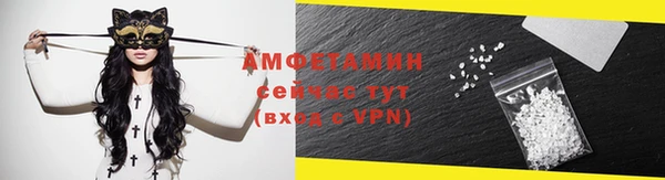 молекула духа Козельск