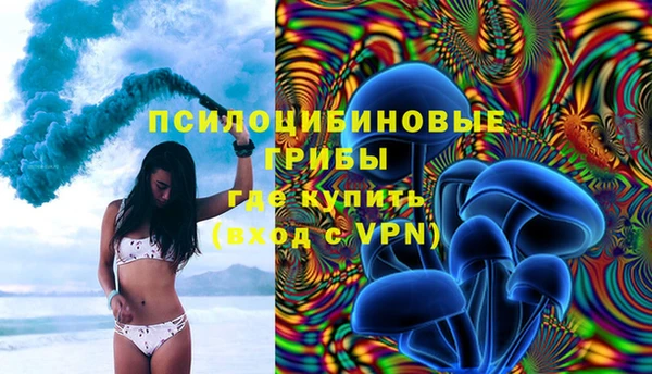 молекула духа Козельск