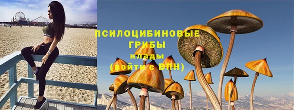 молекула духа Козельск